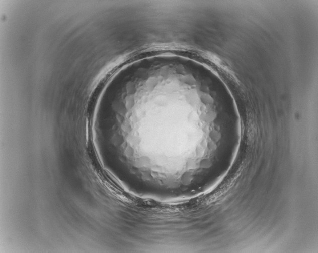 X0000059051221200510071034