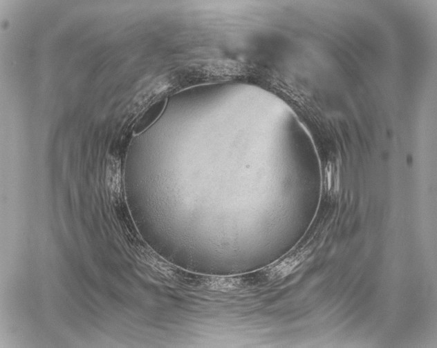 X0000059051251200510071034
