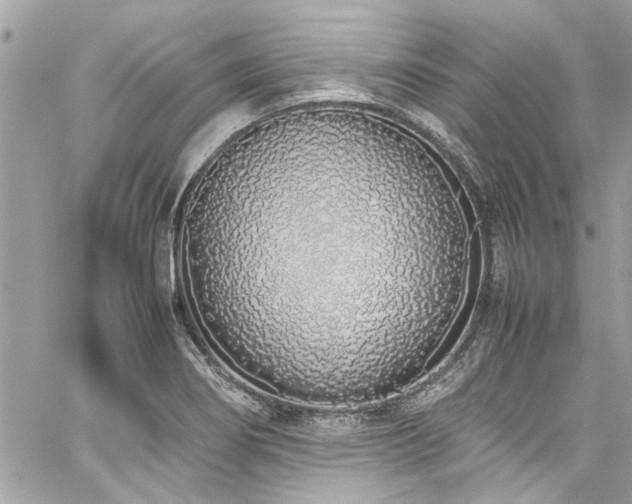 X0000059051274200510071034