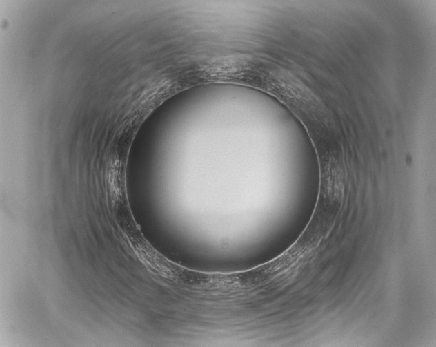 X0000059051346200510071032