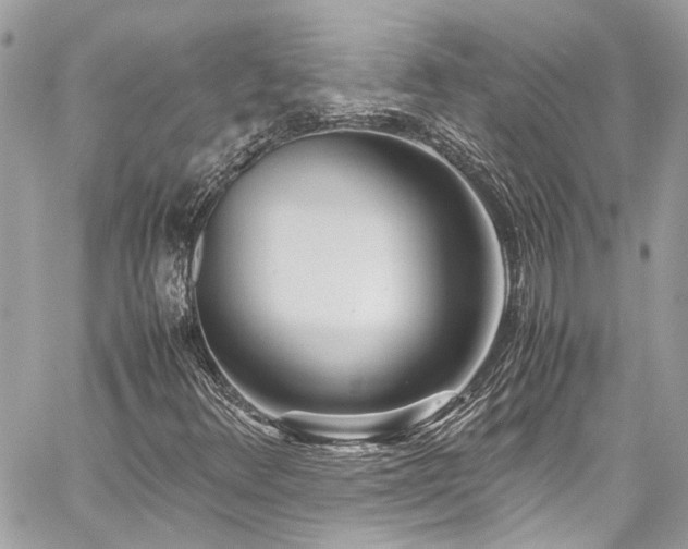 X0000059051348200510071032