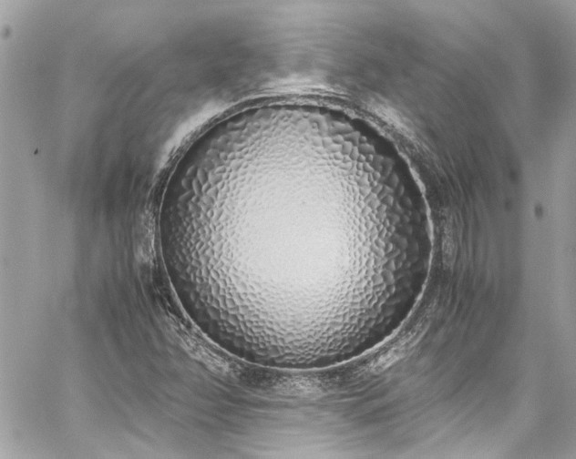 X0000059051358200510071032