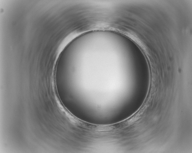 X0000059051440200510071032