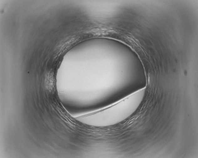 X0000059051444200510071031