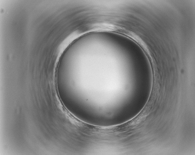 X0000059051488200510071030