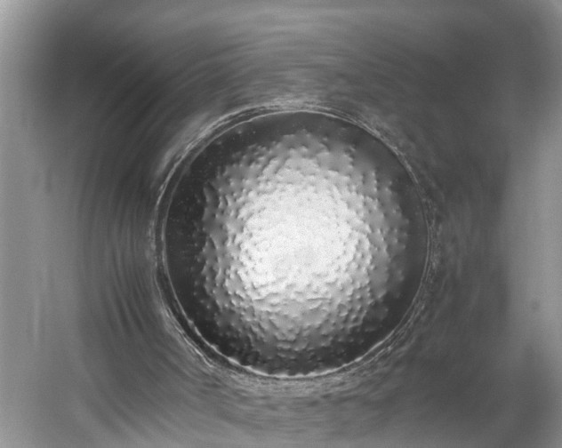 X0000059050002200510101024