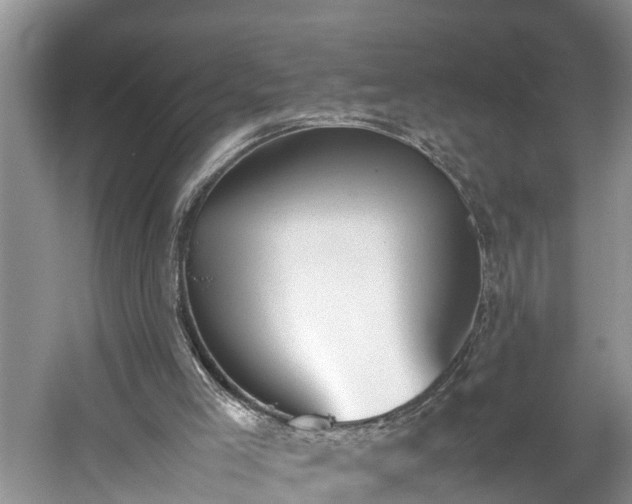 X0000059050005200510101024