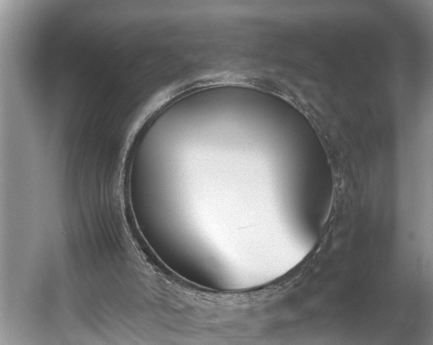X0000059050006200510101024