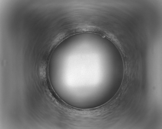 X0000059050010200510101024