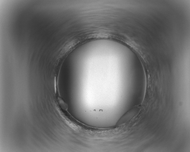 X0000059050013200510101024