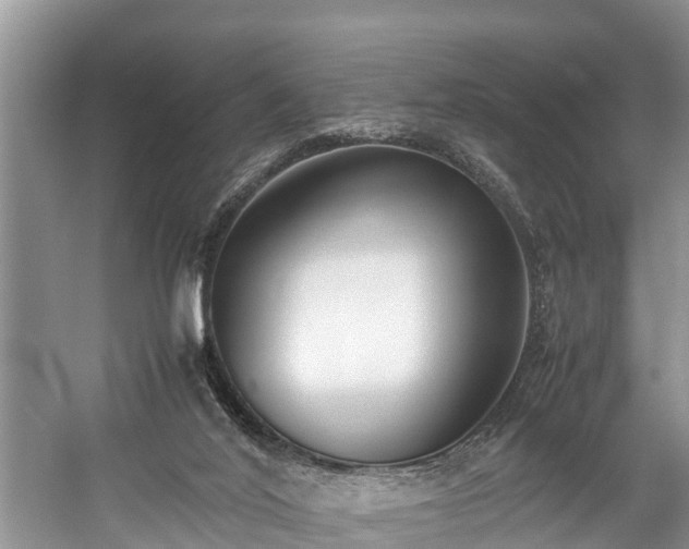 X0000059050020200510101024