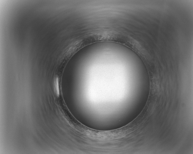 X0000059050022200510101024