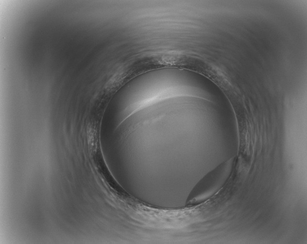 X0000059050031200510101023