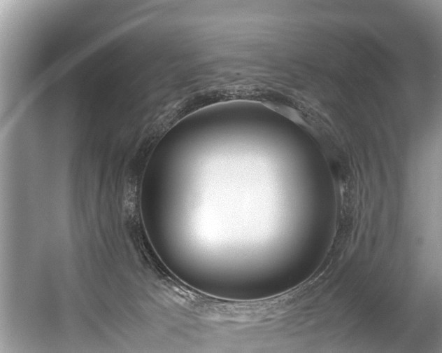 X0000059050033200510101023