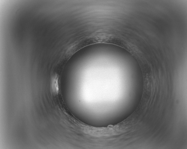 X0000059050042200510101023