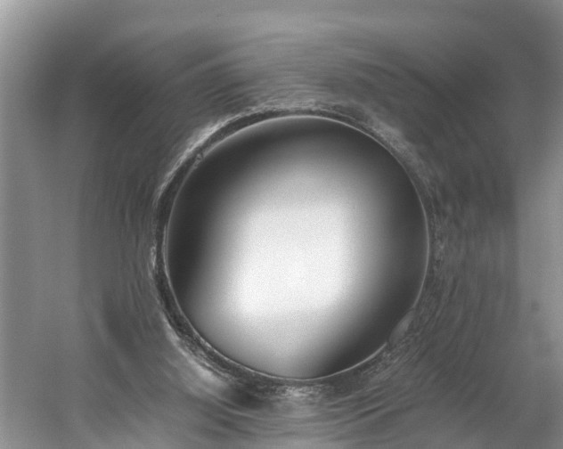 X0000059050060200510101022