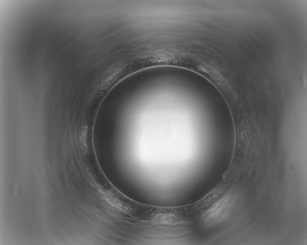 X0000059050066200510101023