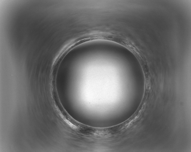 X0000059050101200510101022