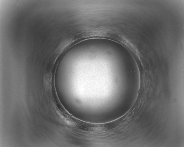 X0000059050107200510101022