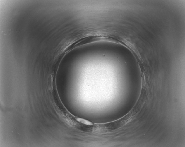 X0000059050109200510101022