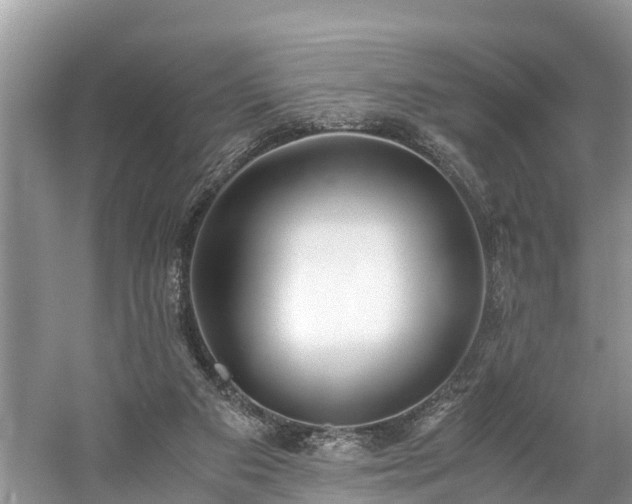 X0000059050113200510101022