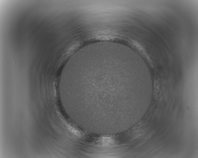 X0000059050114200510101022
