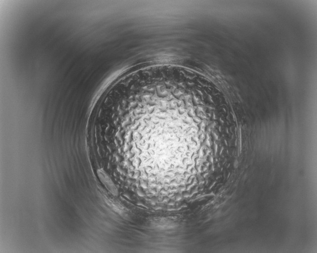X0000059050147200510101021