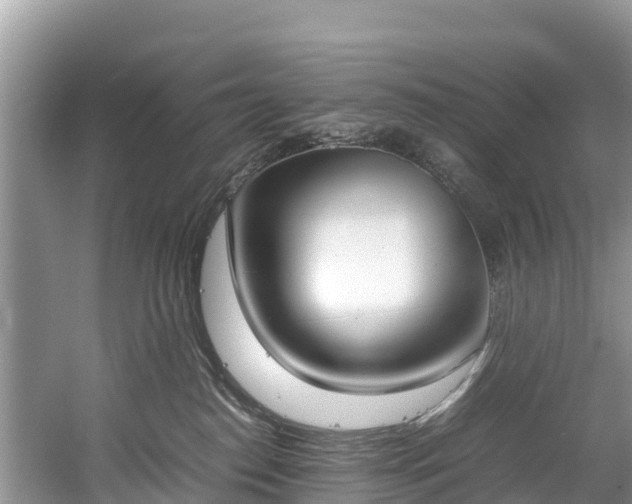 X0000059050186200510101021