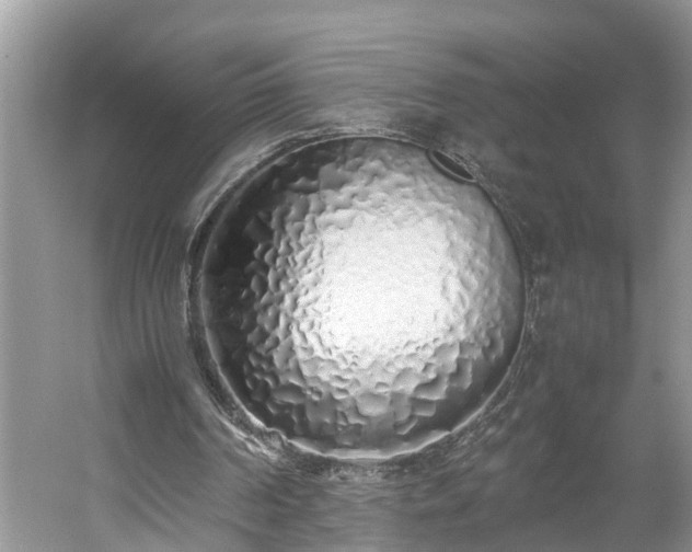 X0000059050194200510101021