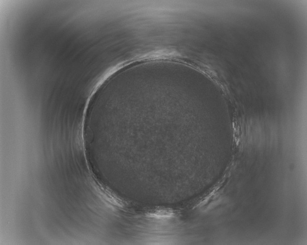 X0000059050196200510101021