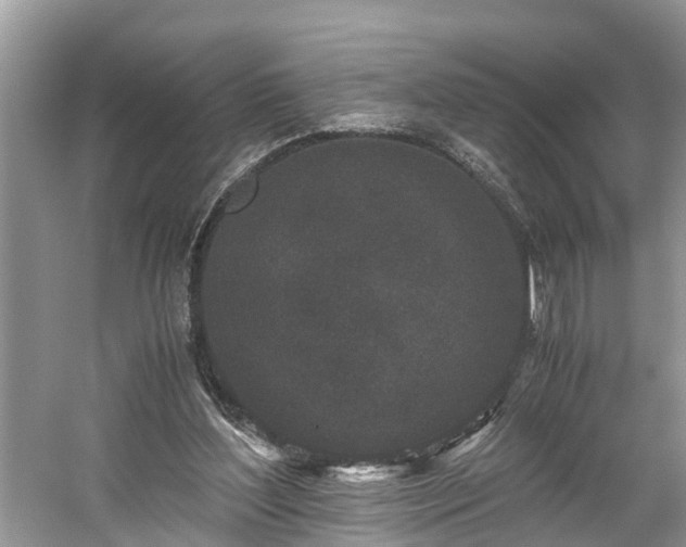 X0000059050204200510101020