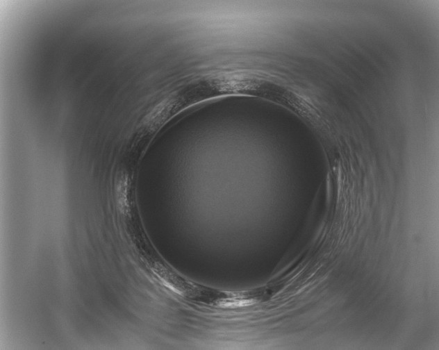 X0000059050219200510101020