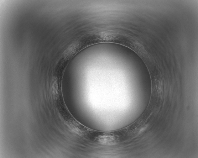 X0000059050220200510101020