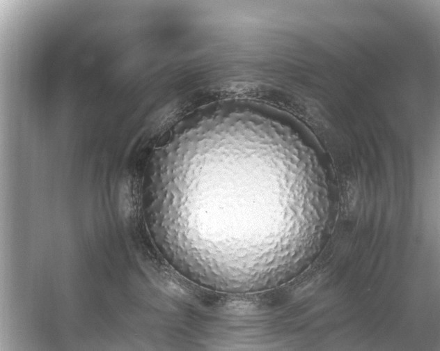X0000059050236200510101020