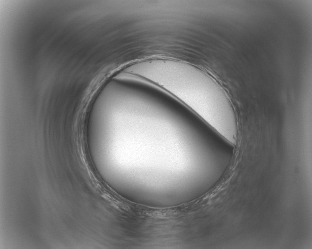 X0000059050241200510101019