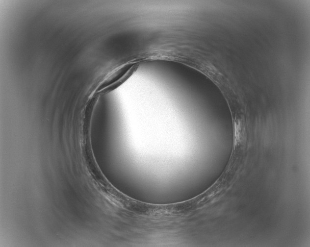 X0000059050291200510101019
