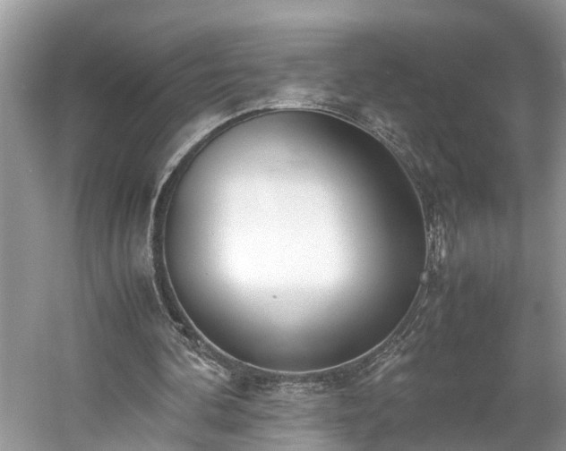X0000059050292200510101019
