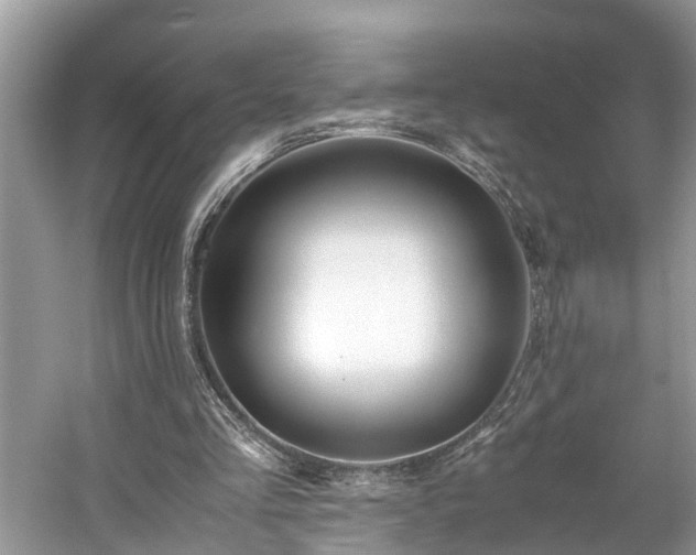 X0000059050293200510101019