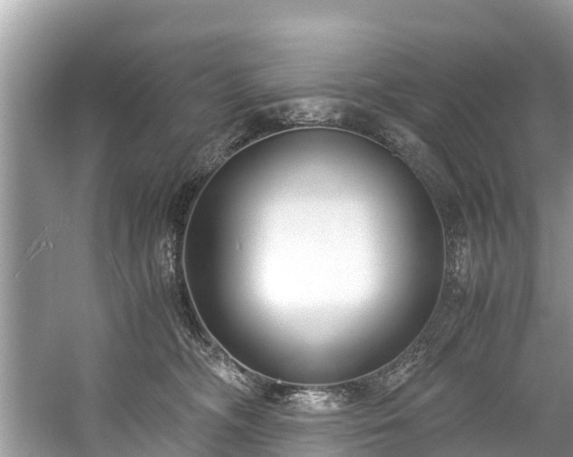X0000059050326200510101018