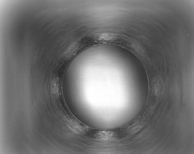X0000059050328200510101018
