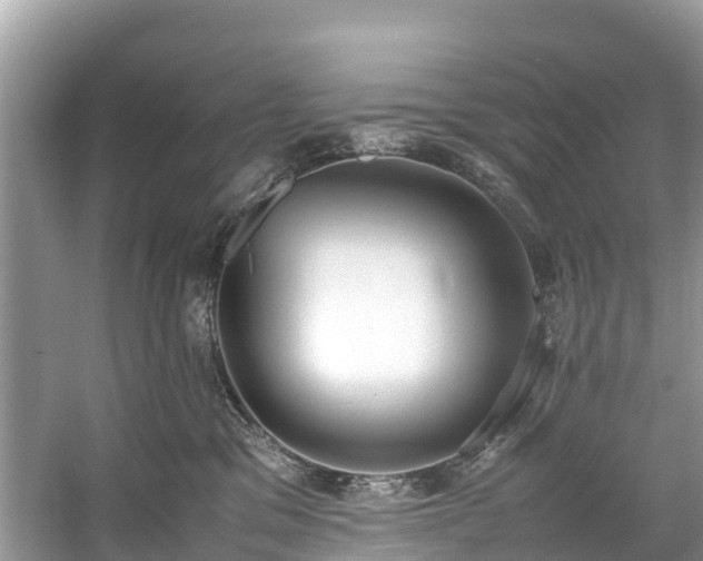 X0000059050329200510101018