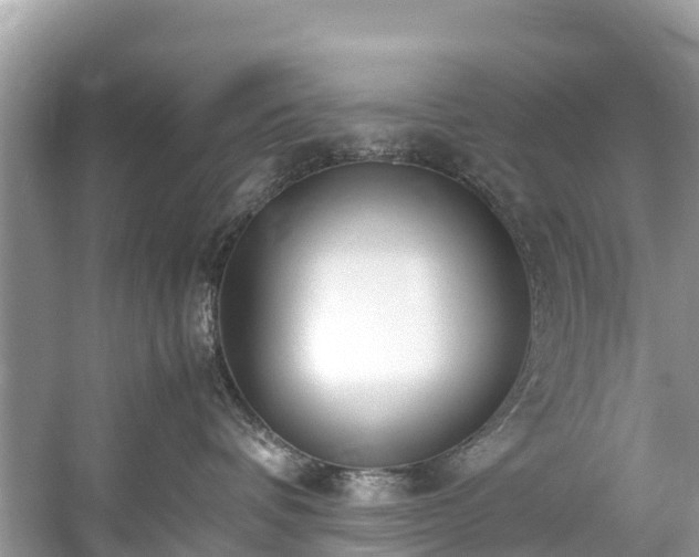 X0000059050336200510101018