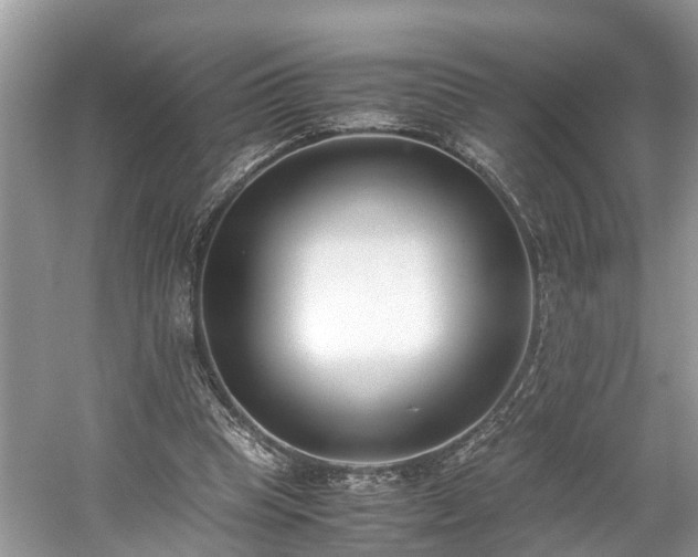 X0000059050345200510101017