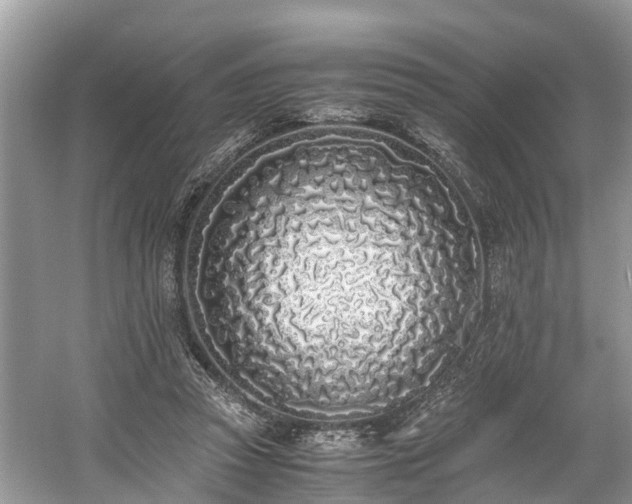 X0000059050353200510101018