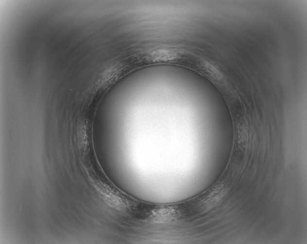 X0000059050362200510101018