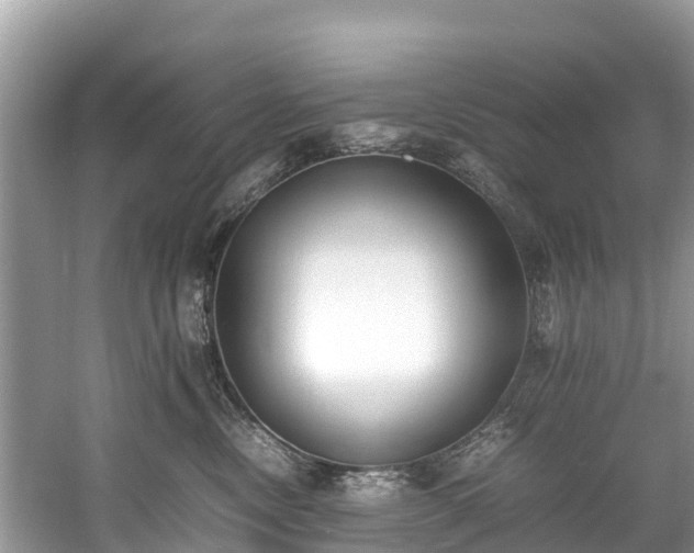 X0000059050378200510101018