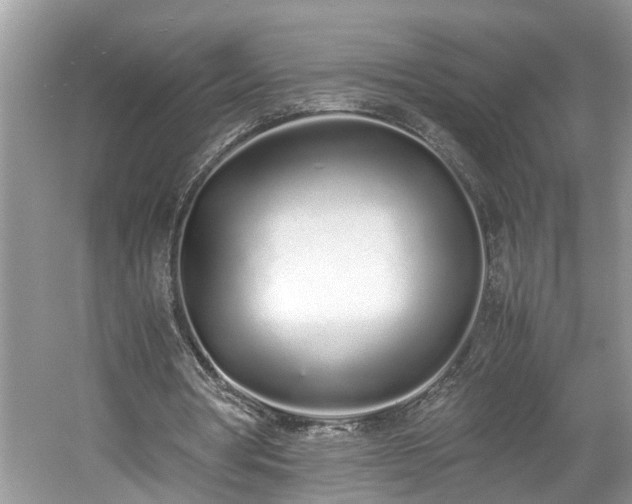 X0000059050386200510101017