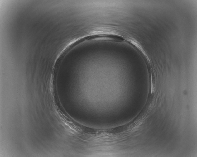 X0000059050387200510101017