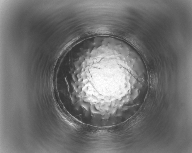 X0000059050390200510101017