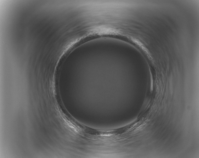 X0000059050391200510101017